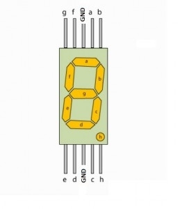 7 Segment Display Katot Pin Yapısı